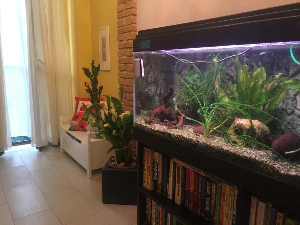 B&B La Casa D'Artista Ortignano Raggiolo Екстериор снимка